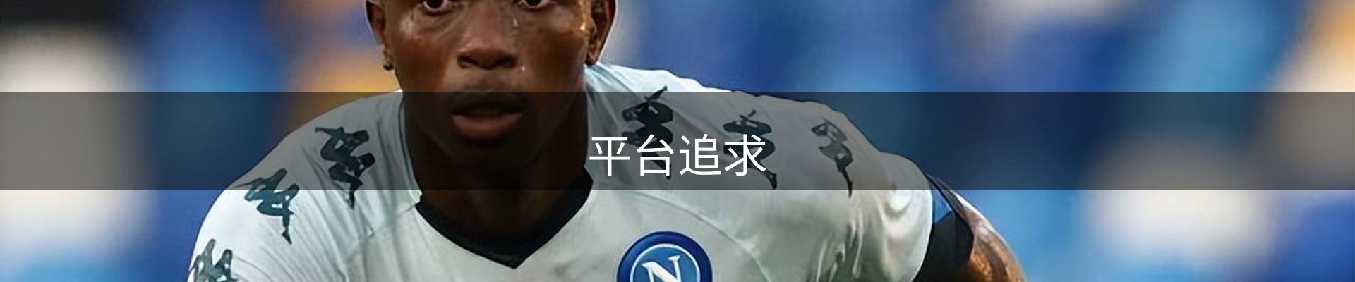平台追求
